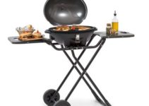 Elektro Standgrill Testsieger 2023: Testergebnisse & wichtige Infos