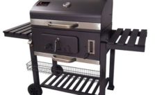 Holzkohlegrill Test