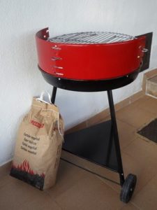 Holzkohlegrill Testbericht