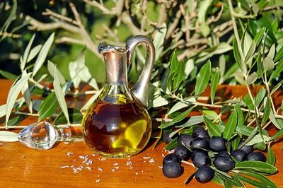 Olivenöl Test