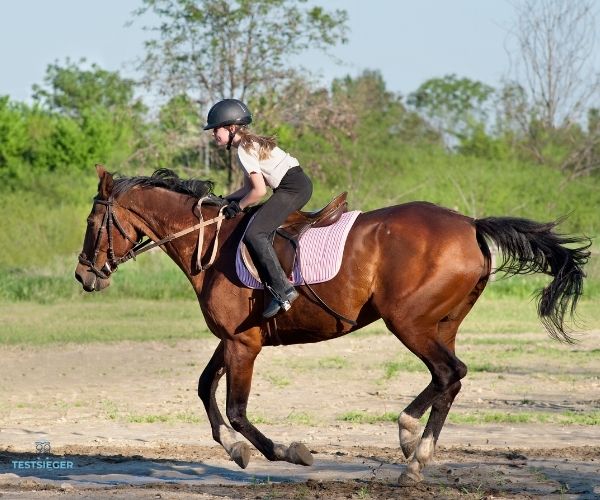 Airbag-Weste fuers Reiten Test