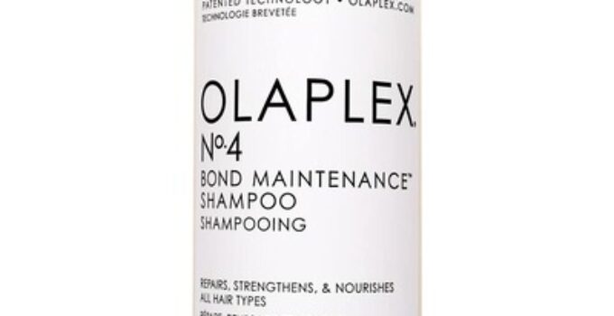 Shampoo Testsieger 2024