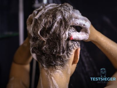 Shampoo gegen Gelbstich Testsieger