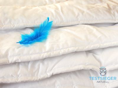Welche Fuellung ist die beste fuer Bettdecken?
