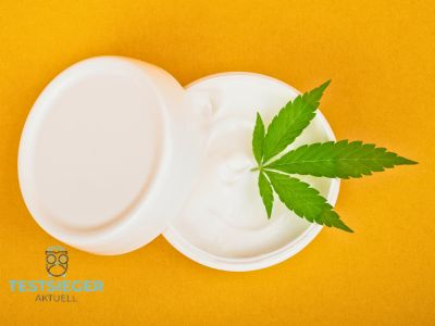 CBD Creme Testsieger