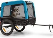Hunde-Fahrradanhänger Testsieger 2024