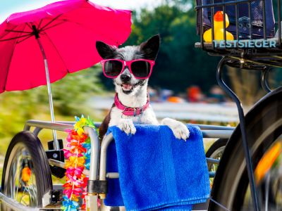 Sind Hunde-Fahrradanhaenger Testsieger grundsaetzlich fuer alle Verbraucher empfehlenswert?