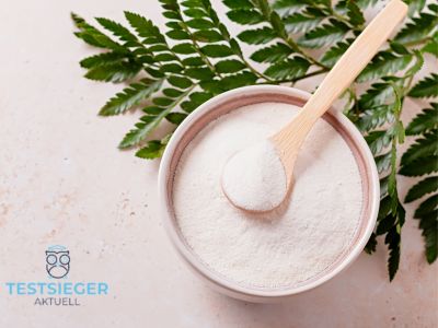 Welche Kriterien sind bei der Wahl eines Kollagen Pulver Testsiegers von Bedeutung?